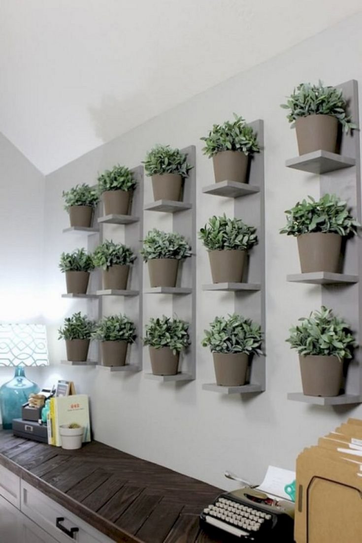 Amazing DIY Indoor Wall Garden