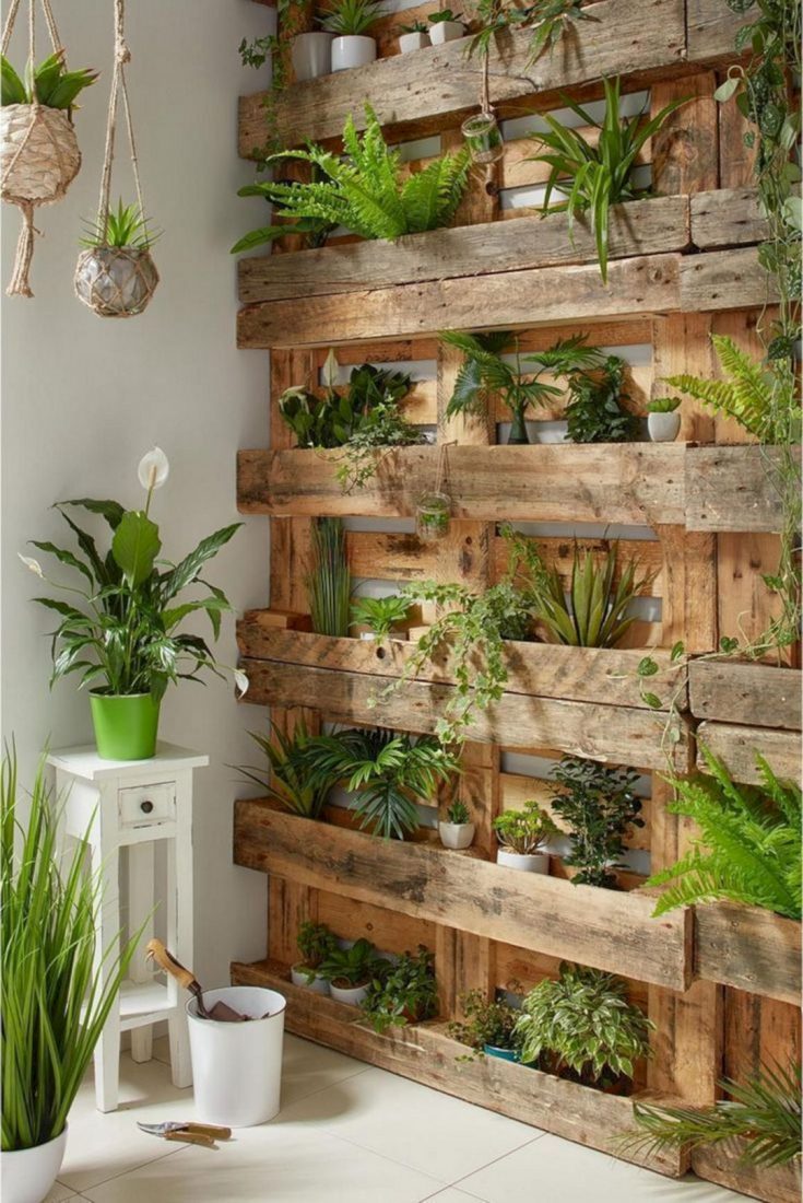 Best Indoor Wall Garden Decoration Ideas