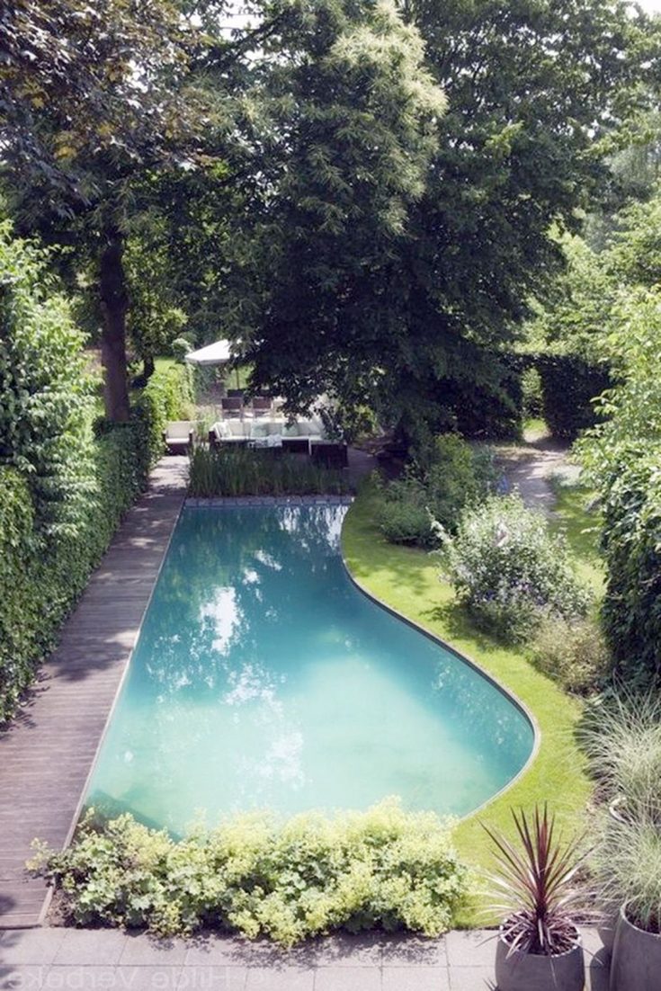 Natural Swimming Pool For Backyard