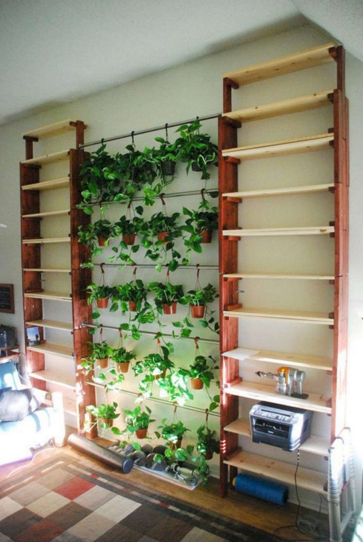 Top DIY Indoor Wall Garden Ideas