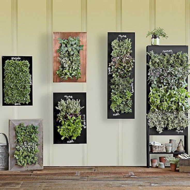 Vertical Indoor Wall Garden Ideas