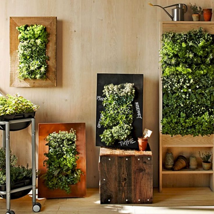 Wonderful Indoor Wall Garden Ideas