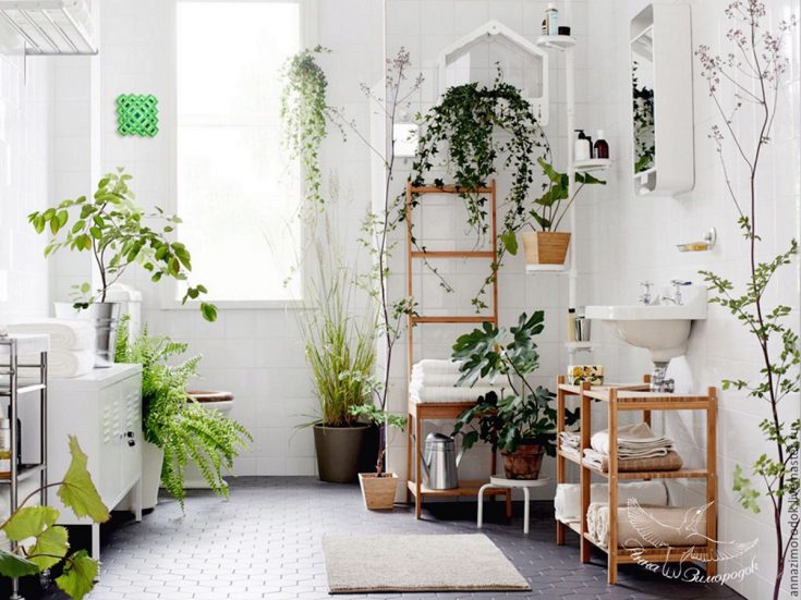 Beautiful Plants Home Decoration Idea