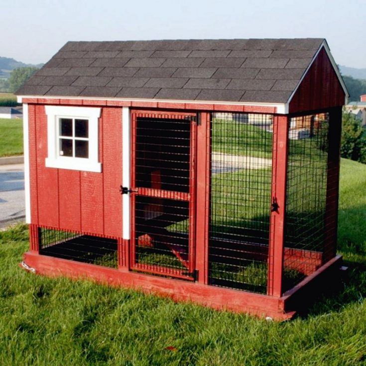 DIY Chicken Coop Design For Backyard