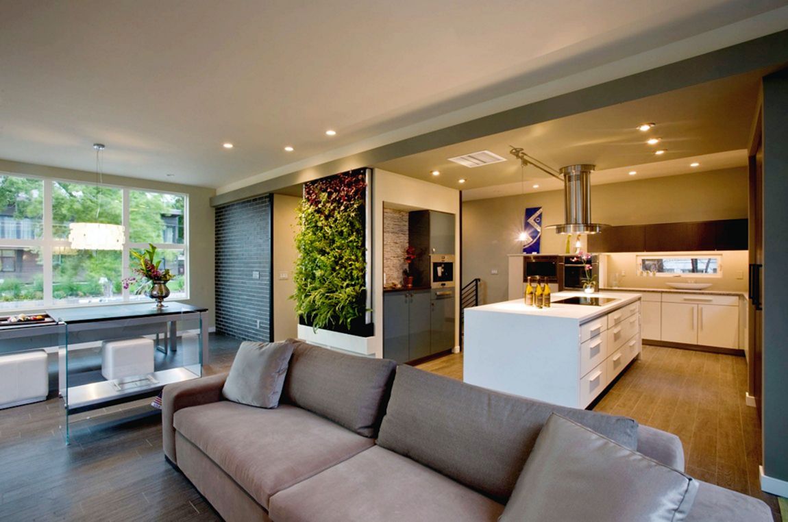 Impressive Eco-Friendly Home - Kitchen With Living Room