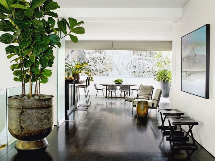 Stunning Indoor Plant Designs Idea