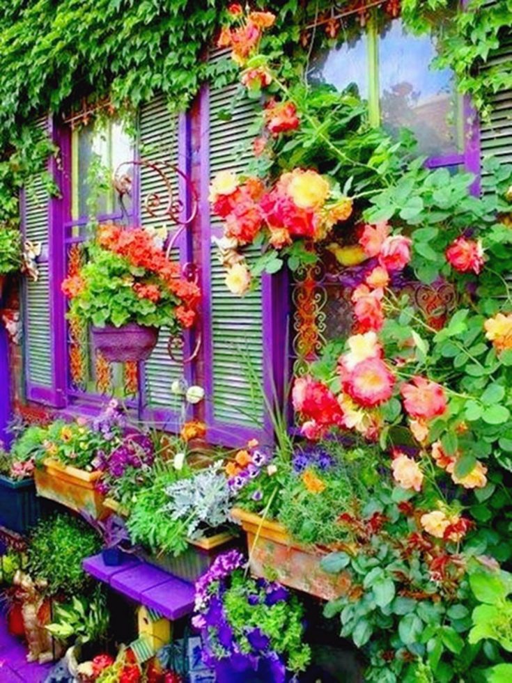 Colorful Garden Shutter Ideas