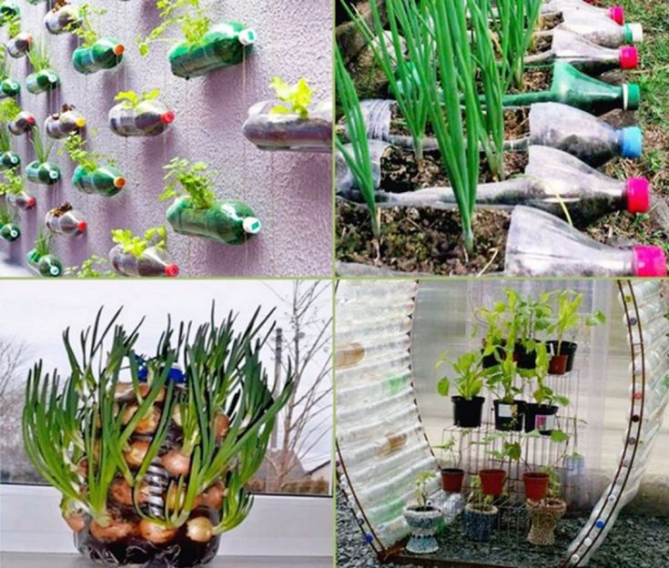 DIY Plastic Bottle Garden Projects