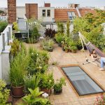 Marvelous Roof Garden Ideas
