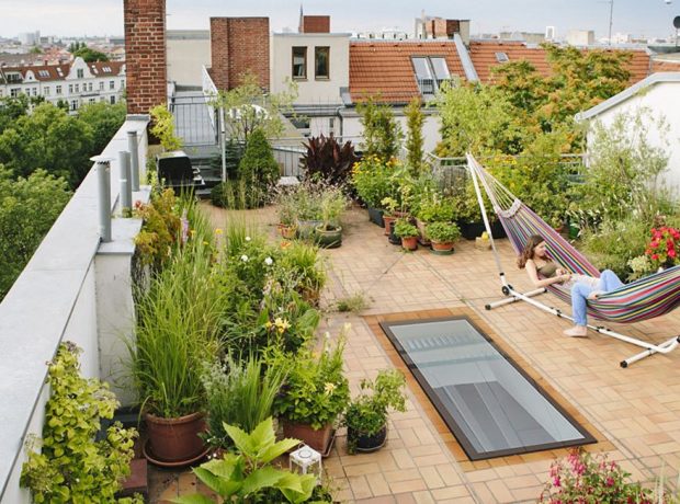Marvelous Roof Garden Ideas