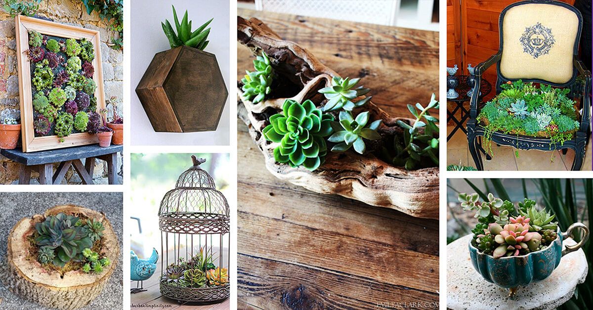 9 Awesome DIY Succulent Garden Ideas For Make The Room Look More Fresh