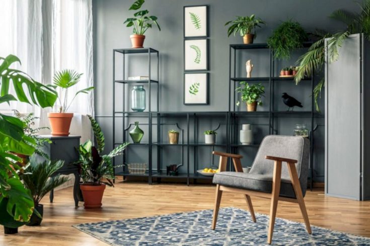 Marvelous Living Room Flower Shelves Ideas