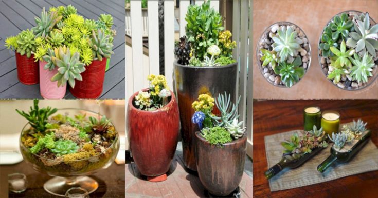 Wonderful DIY Indoor Garden Ideas