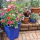 Container Garden For Small Space Ideas