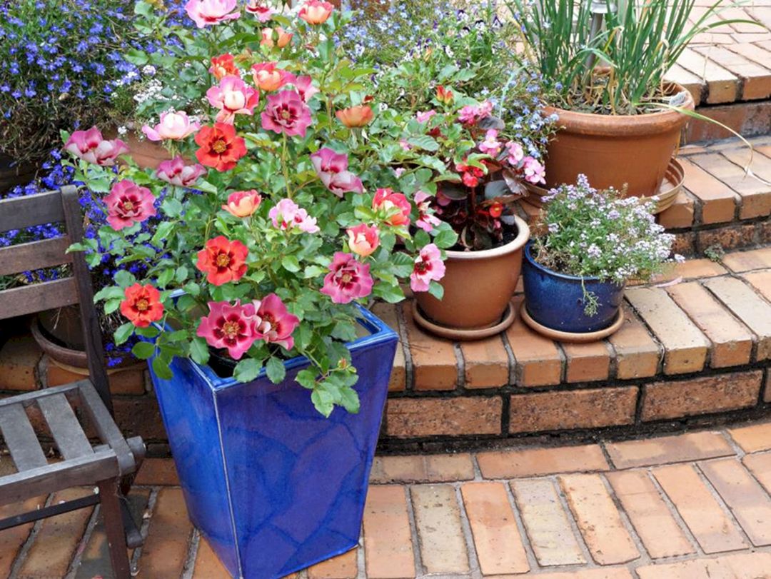 Container Garden For Small Space Ideas