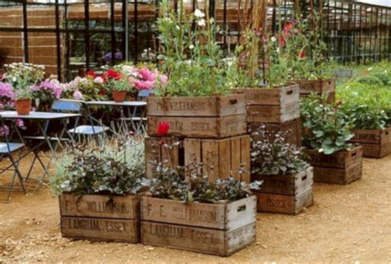 Marvelous Planter Garden Ideas