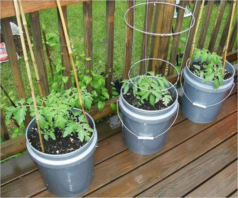 Simple Container Garden Design Ideas