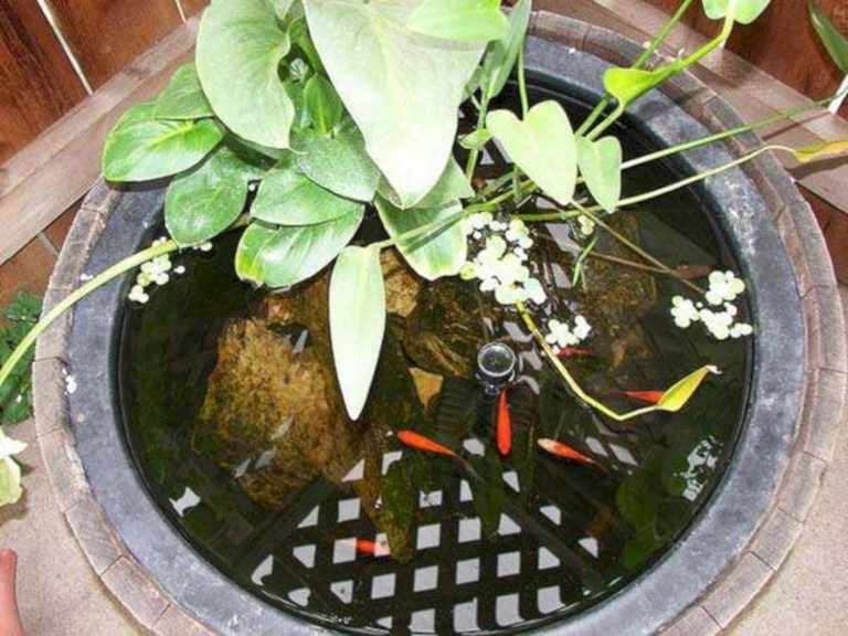 Awesome Small DIY Fish Pond Ideas
