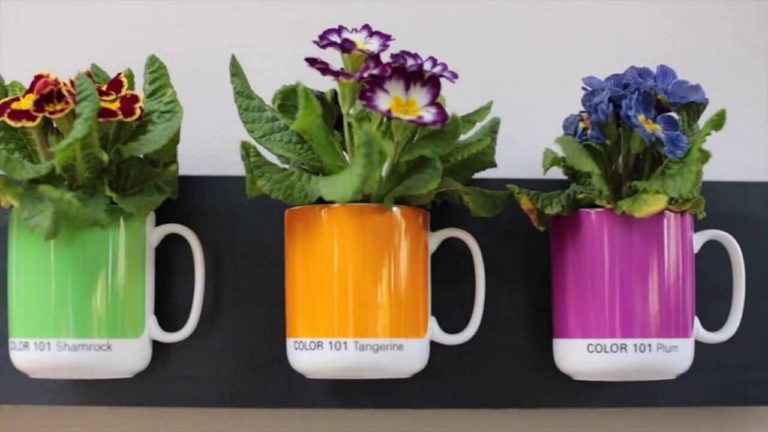 Beautiful Flower Pot Craft Ideas