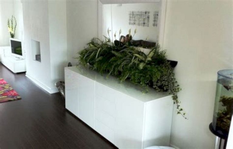 Beautiful Indoor Plants Design Ideas