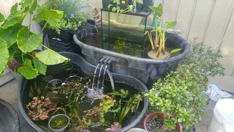 Easy Cheap DIY Fish Pond Ideas
