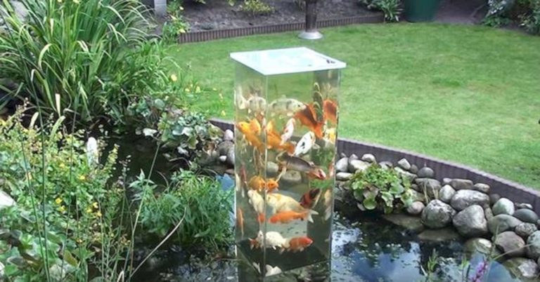 Simple Creative DIY Fish Pond Ideas