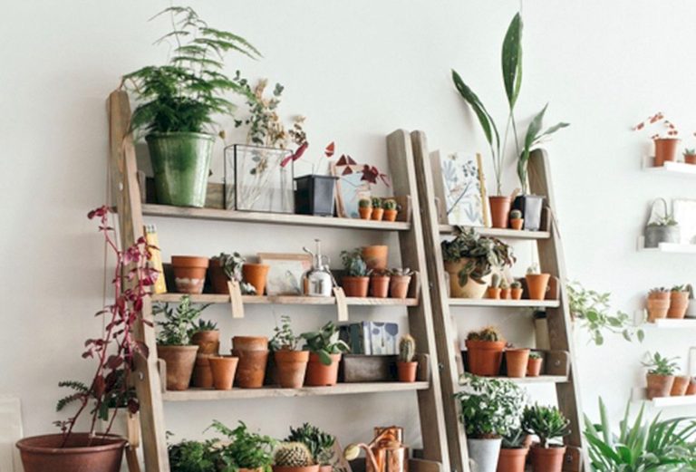 Stunning Plants Stand Ideas For Home Decoration