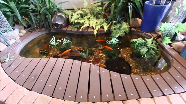 Unique DIY Simple Fish Pond Ideas