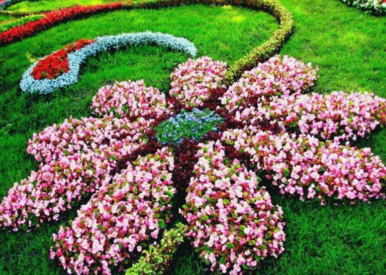 Flower Shaped Floral Garden With Nice Layout