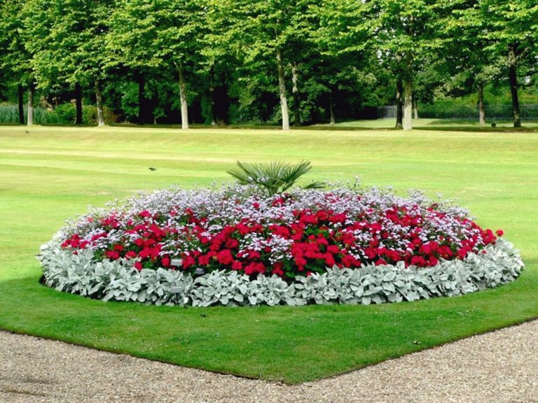 Lovely Round Flower Garden With Colorful Flower