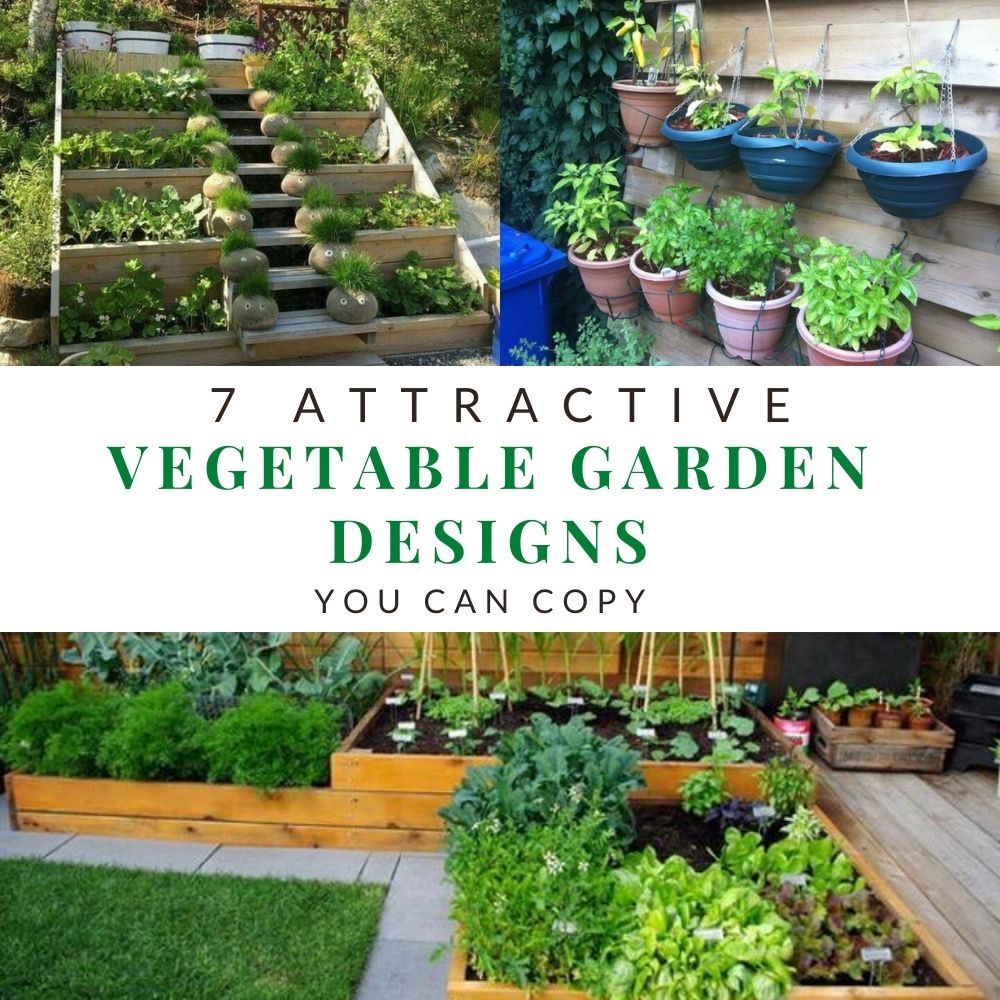 7 Attractive Vegetable Garden Designs You Can Copy