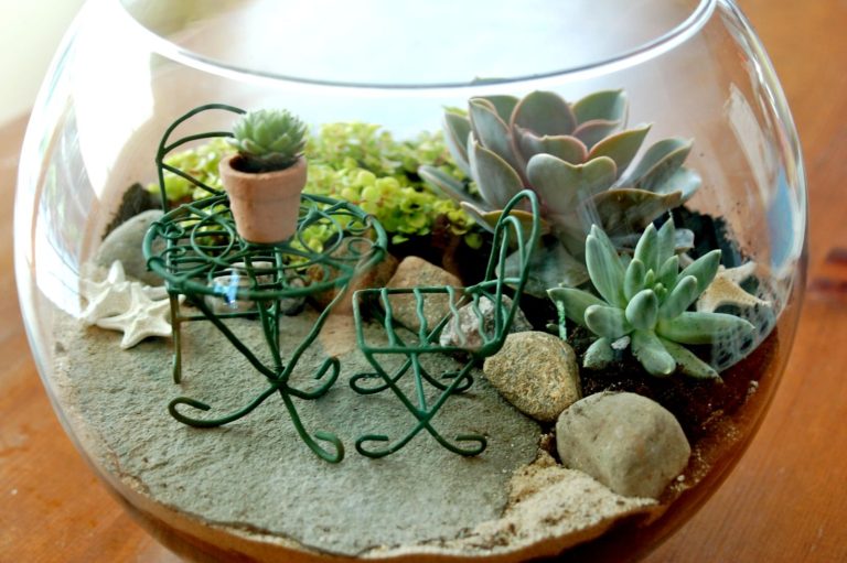 Beautiful DIY Tabletop Miniature Garden