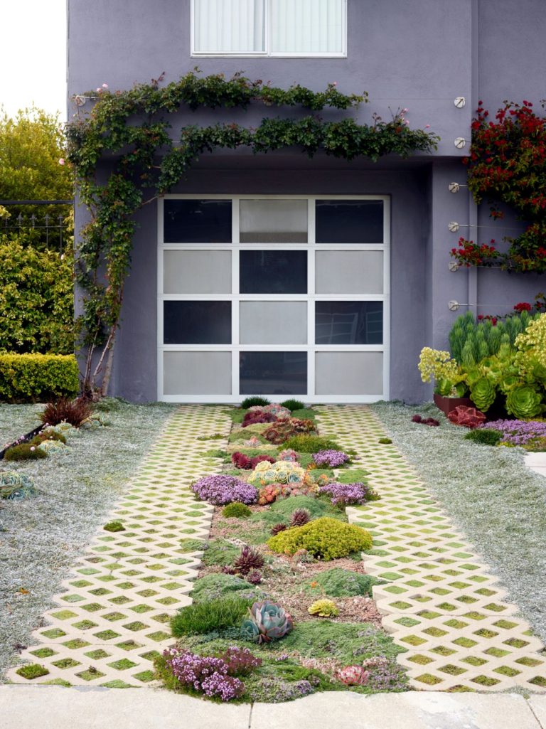 Creative Succulent Garden Ideas