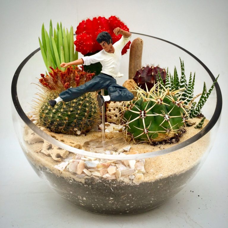 DIY Terrarium With Cactus