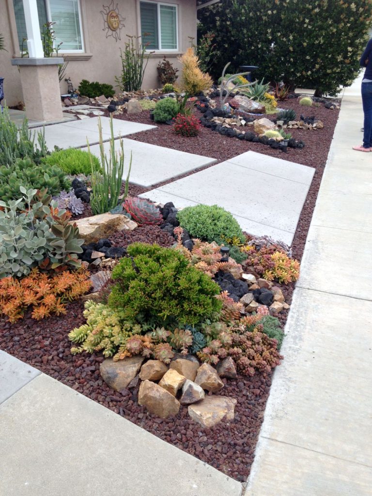 Front Lawn With Drought Tolerant Plants