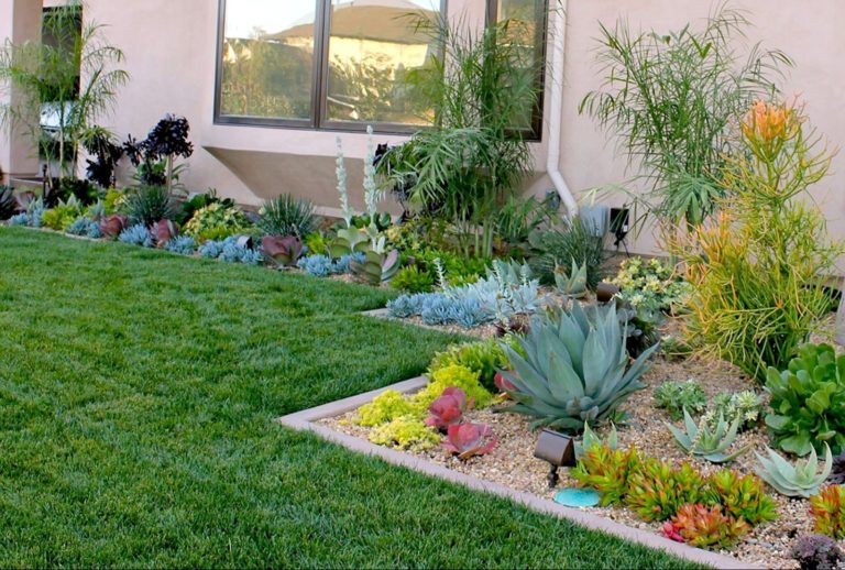Front Yard With Succulent Plant
