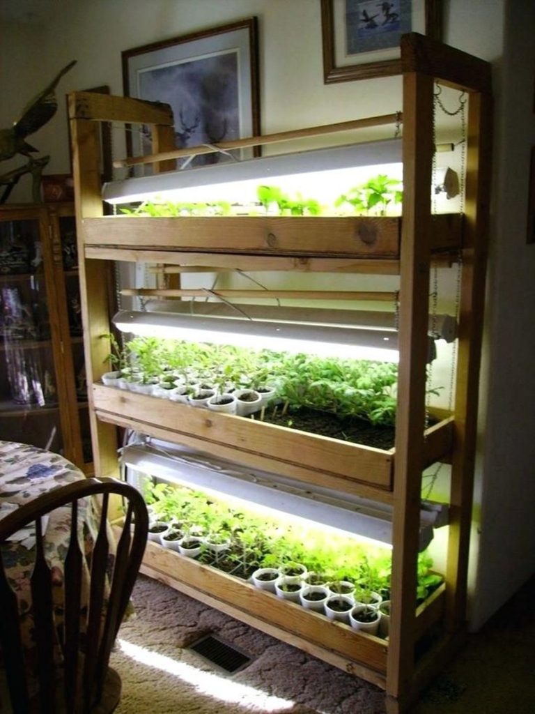 Indoor Veggie Garden