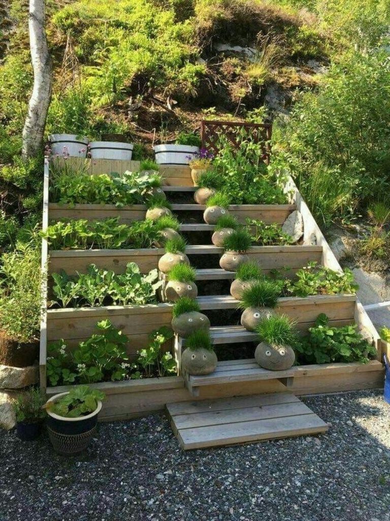 Smart Vegetable Garden