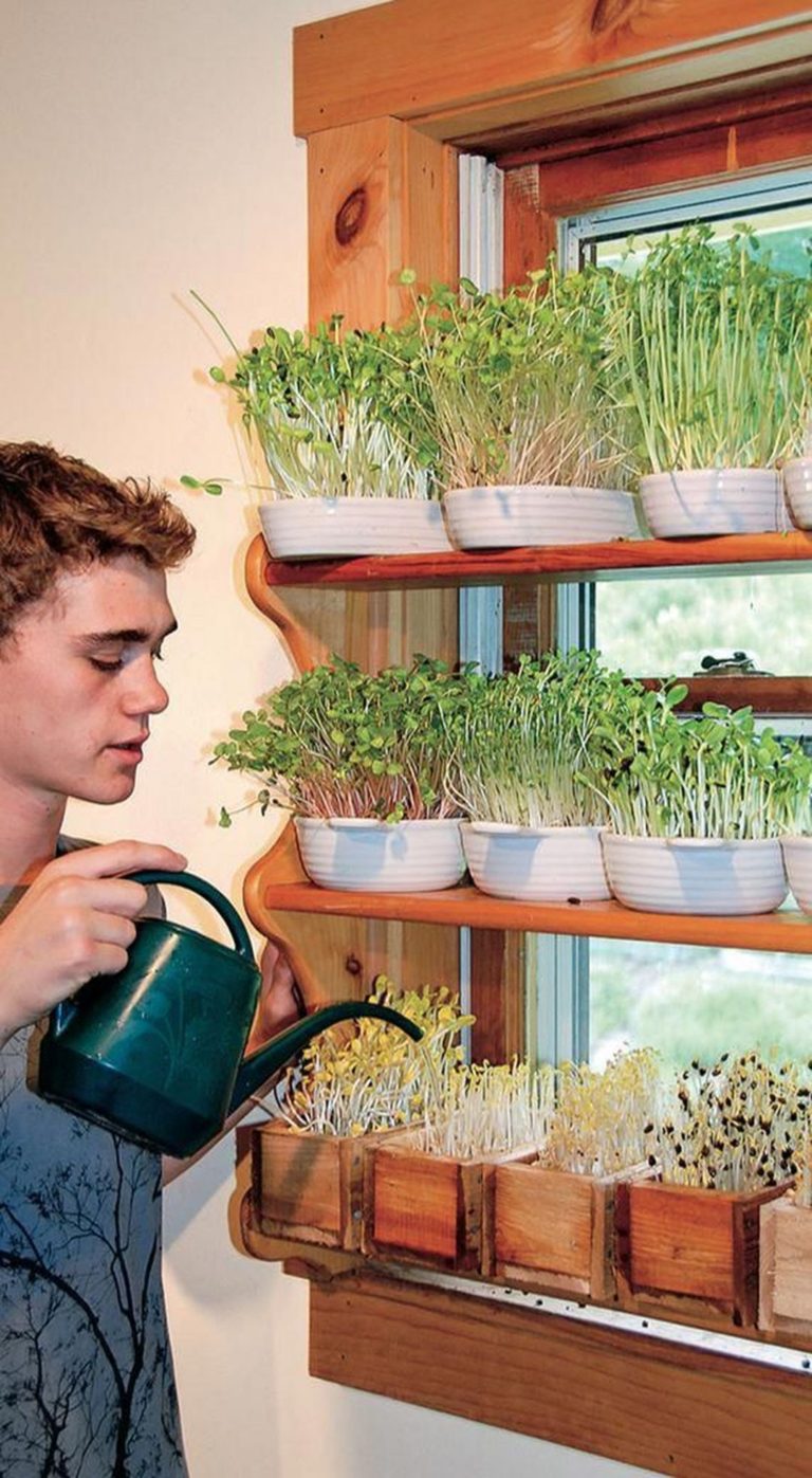 Smart Vegetable Garden Ideas