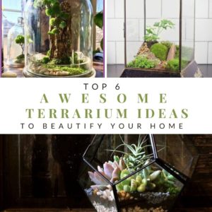 Top 6 Awesome Terrarium Ideas To Beautify Your Home (1)