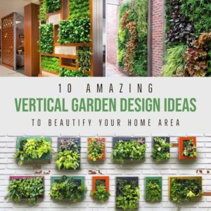 10 Amazing Vertical Garden Design Ideas To Beautify Your Home Area
