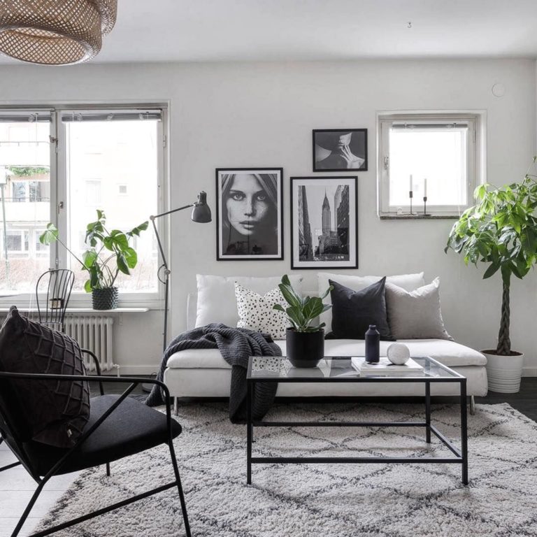 Beautiful Plant In Monochrome Living Room