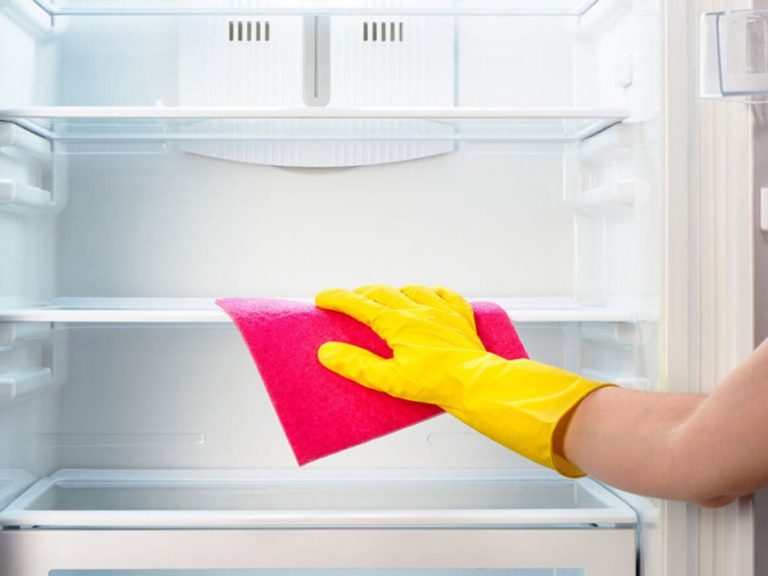 Clean The Refrigerator Regularly