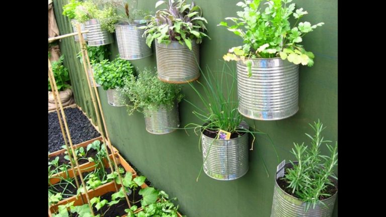 Small Vegetable Container Garden