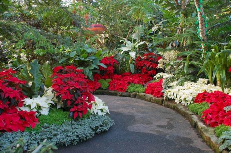 Awesome Christmas Landscaping Decorating Ideas